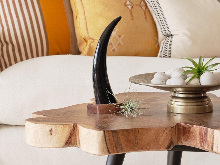 Ankole Tabletop Horn