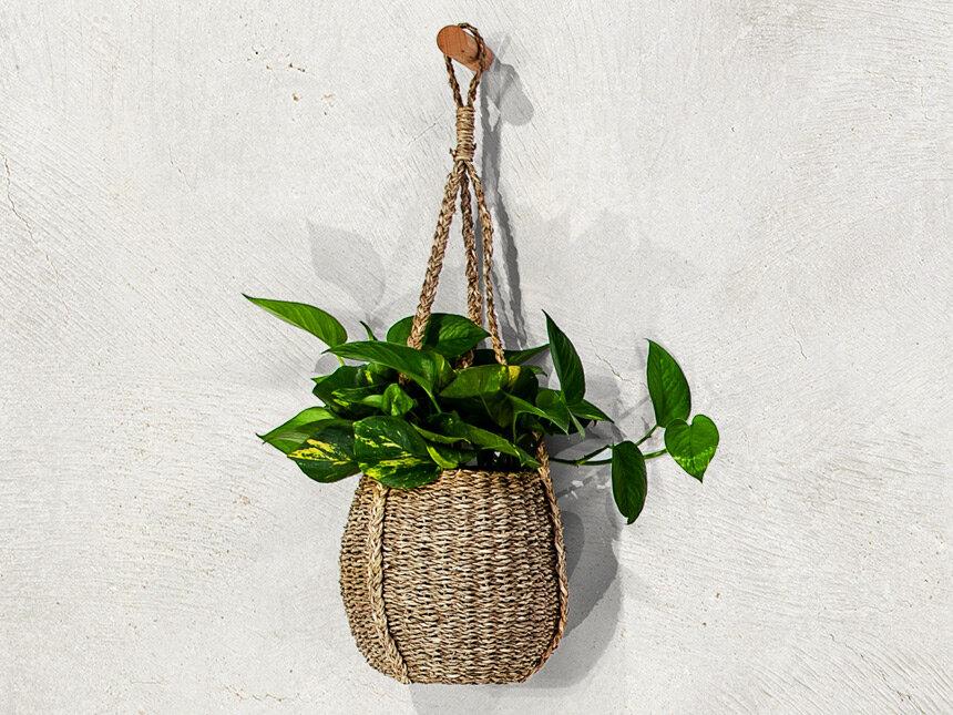 Poppy Seagrass Basket