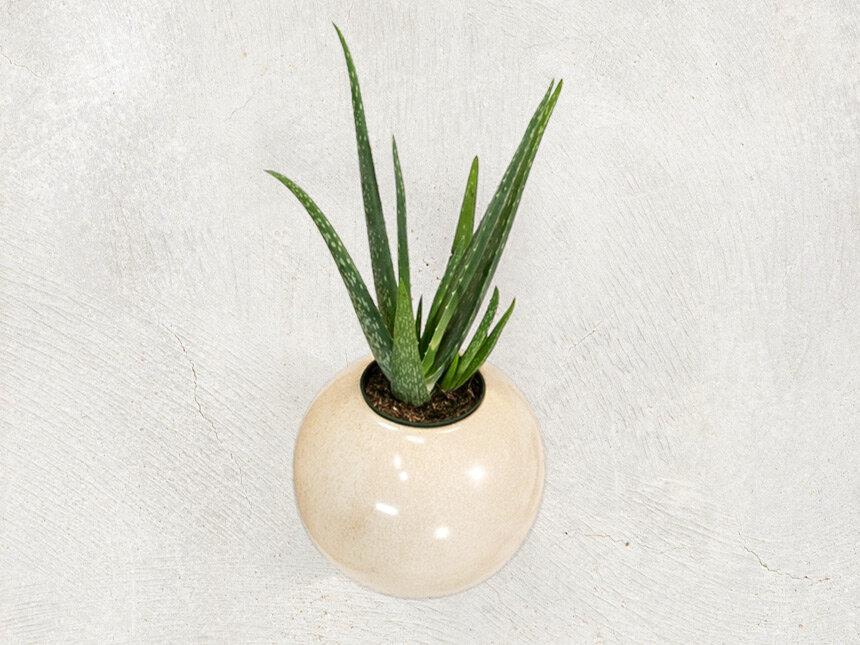 Sandy Stoneware Vase