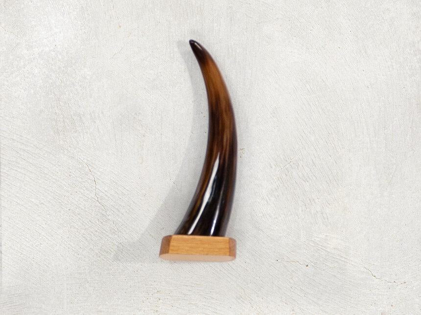Ankole Tabletop Horn